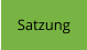 Satzung